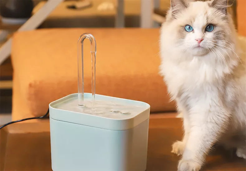 Fontaine d'Eau Silencieuse 1.5L pour Animaux - Distributeur Intelligent avec Filtre pour Chiens et Chats